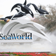 Illustration for article titled One For The Road: SeaWorld Has Realized People Will Be Mad At It No Matter What It Does So It’s Just Going To See How Fat It Can Make A Dolphin Before It Goes Bankruptem/em